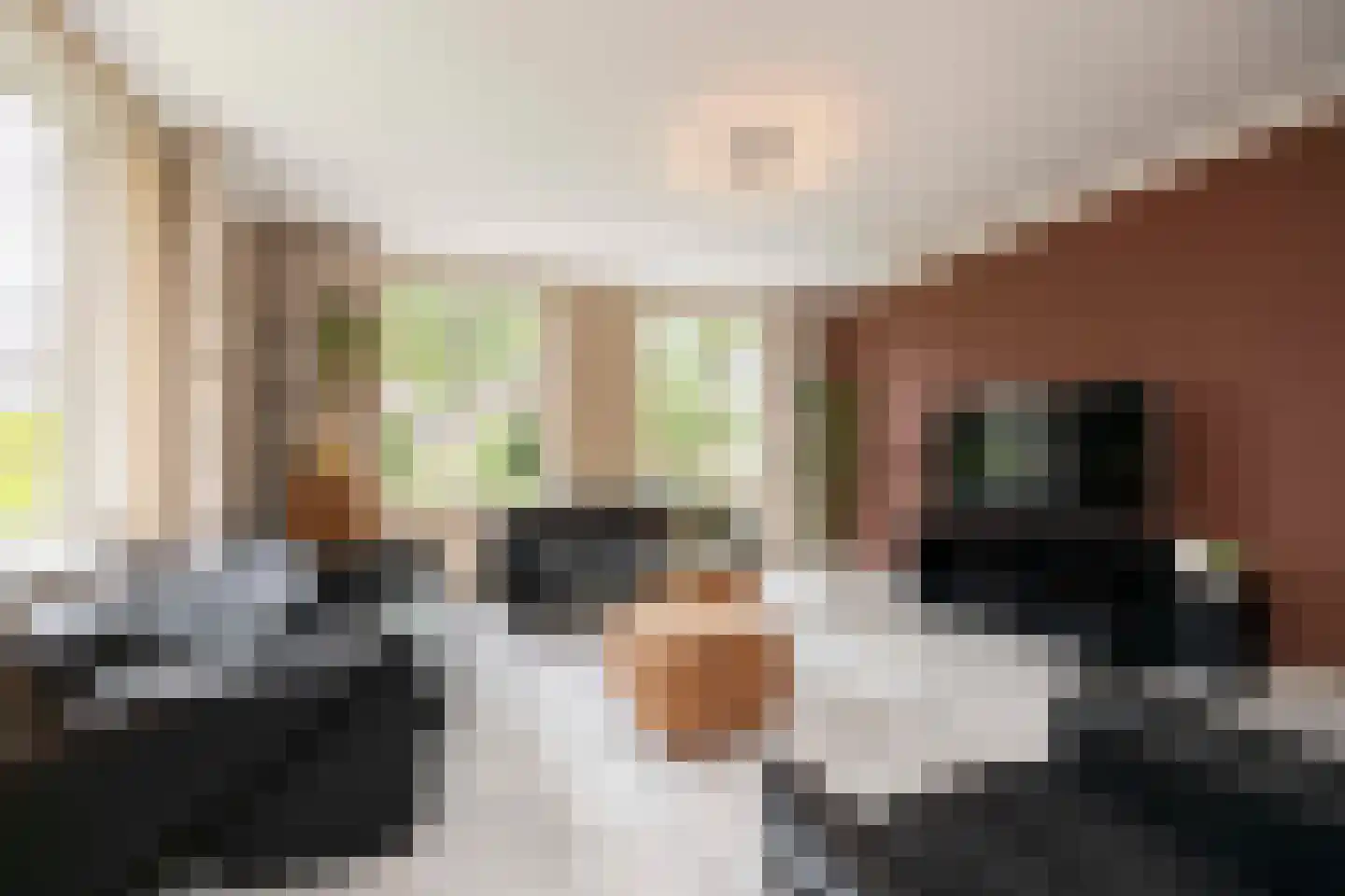 Castaert 82 Oirschot thumbnail 12