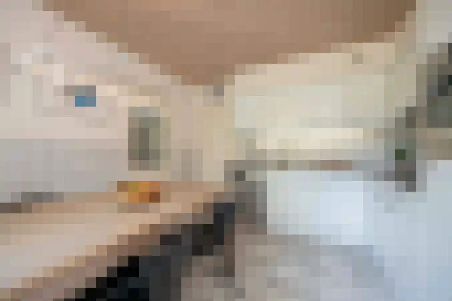 Castaert 82 Oirschot thumbnail 16