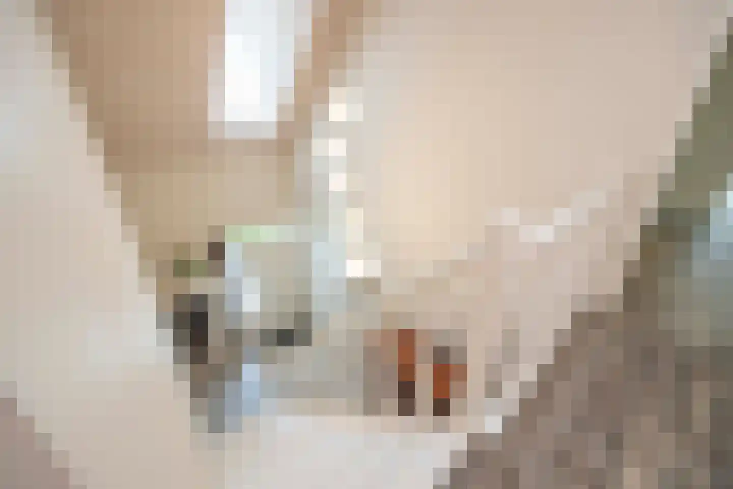 Castaert 82 Oirschot thumbnail 24