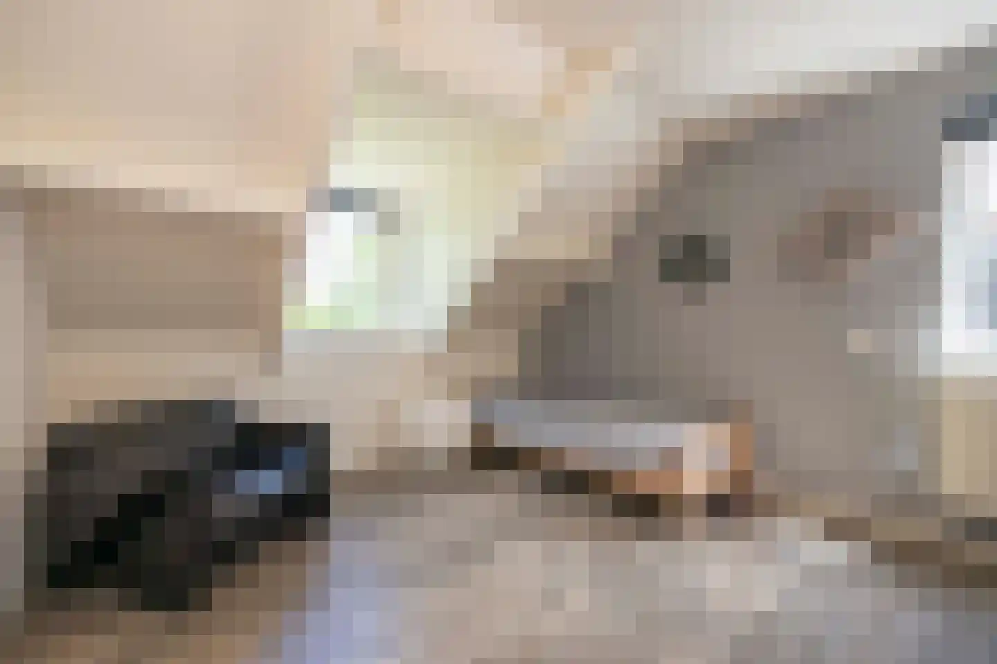 Castaert 82 Oirschot thumbnail 27