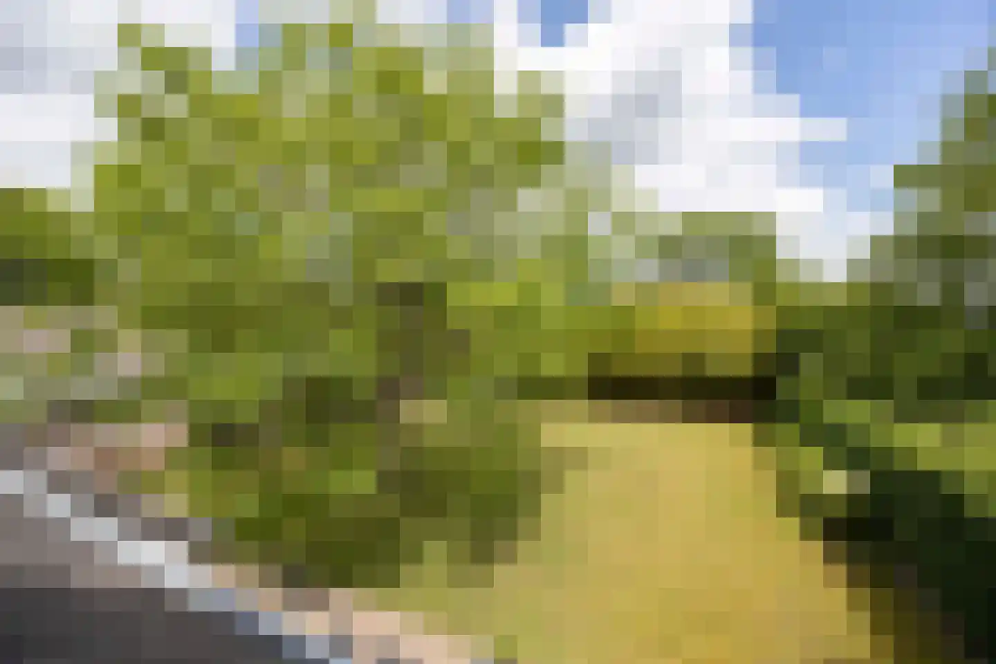 Castaert 82 Oirschot thumbnail 38
