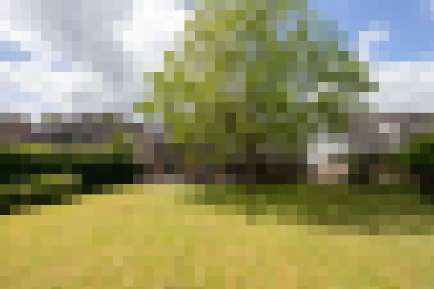Castaert 82 Oirschot thumbnail 40