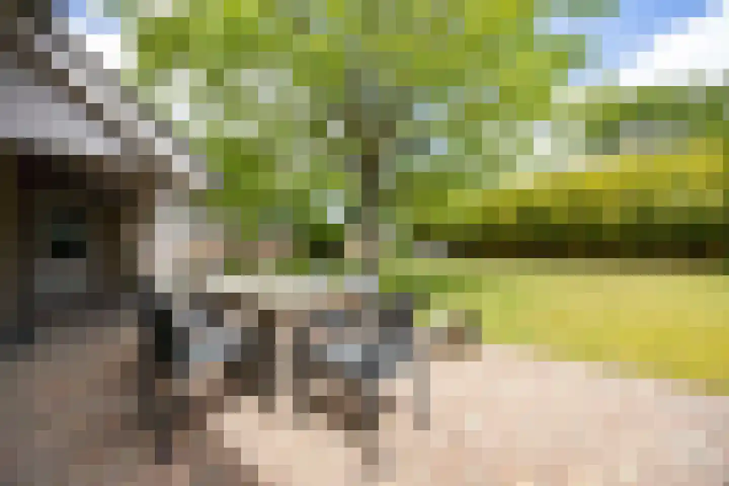 Castaert 82 Oirschot thumbnail 41