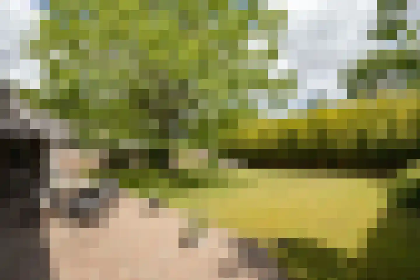 Castaert 82 Oirschot thumbnail 43
