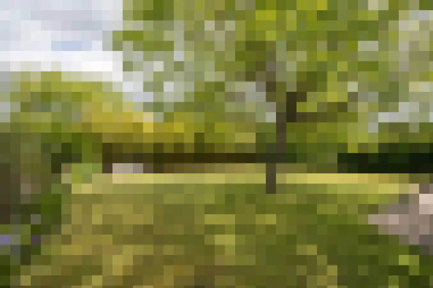 Castaert 82 Oirschot thumbnail 44