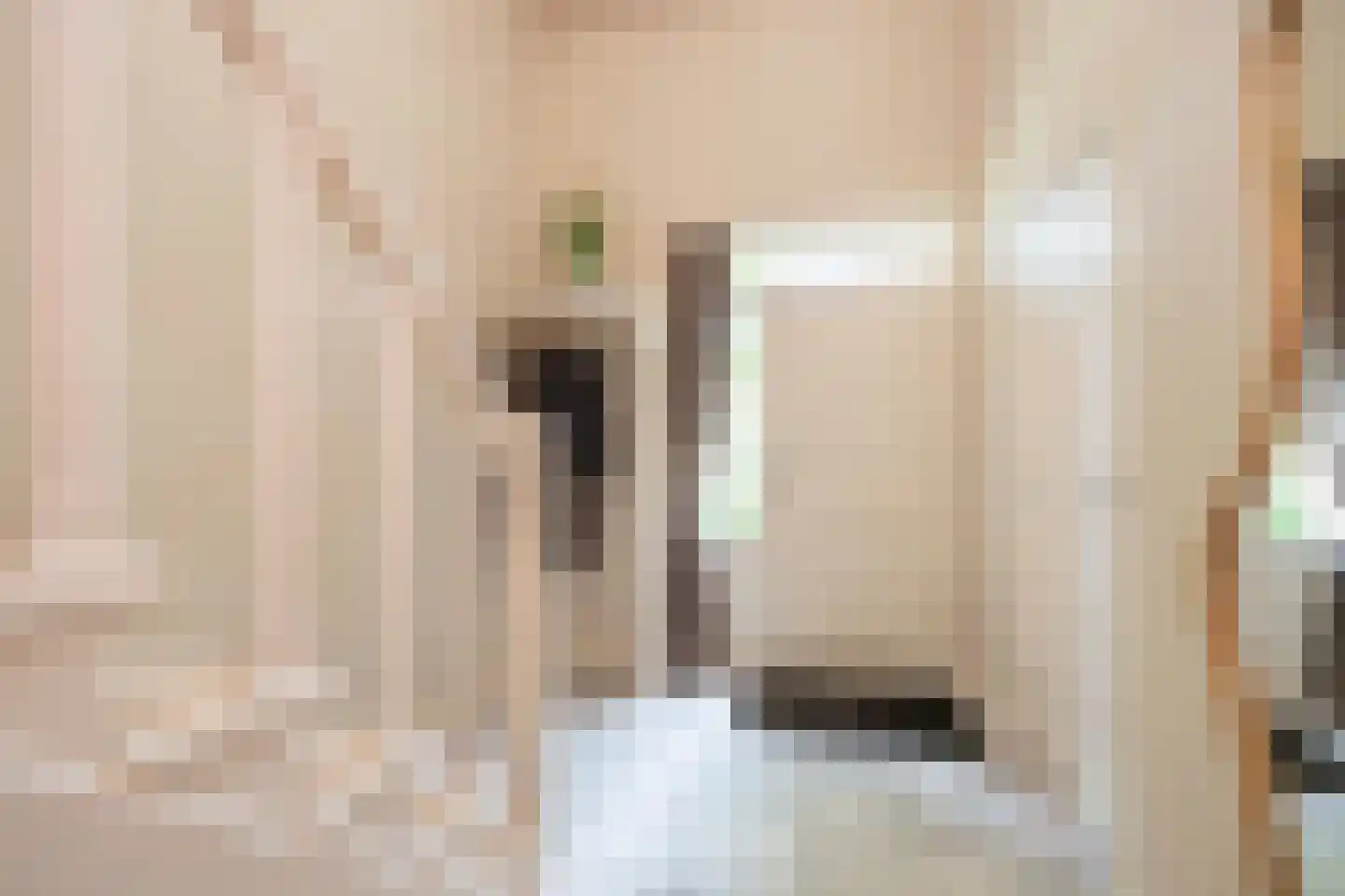 Castaert 82 Oirschot thumbnail 7