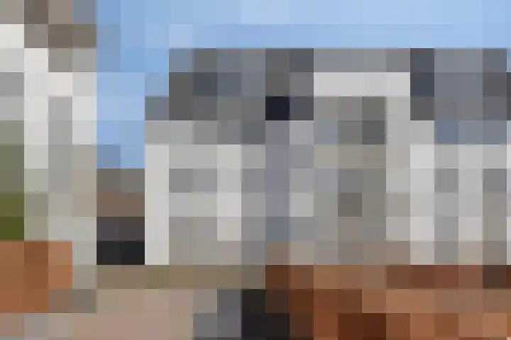 Castellanie 29 Loon op Zand thumbnail 29