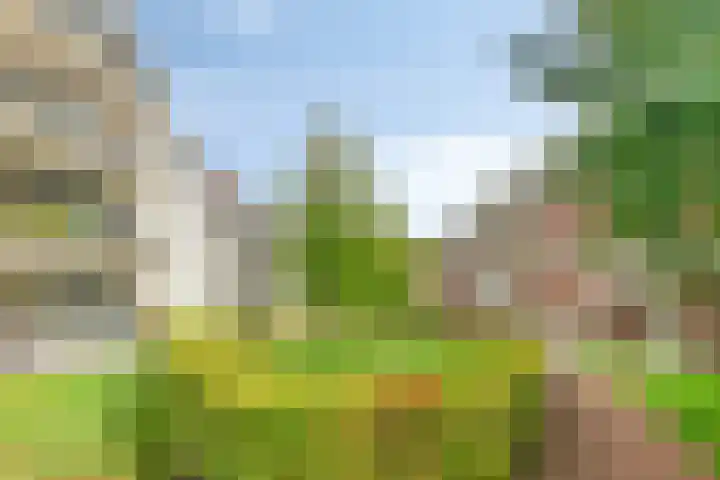 Castellanie 68 Loon op Zand thumbnail 35