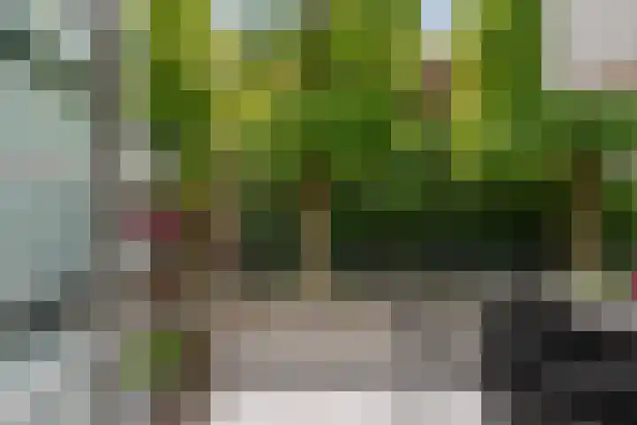 Castellanie 8 Loon op Zand thumbnail 20