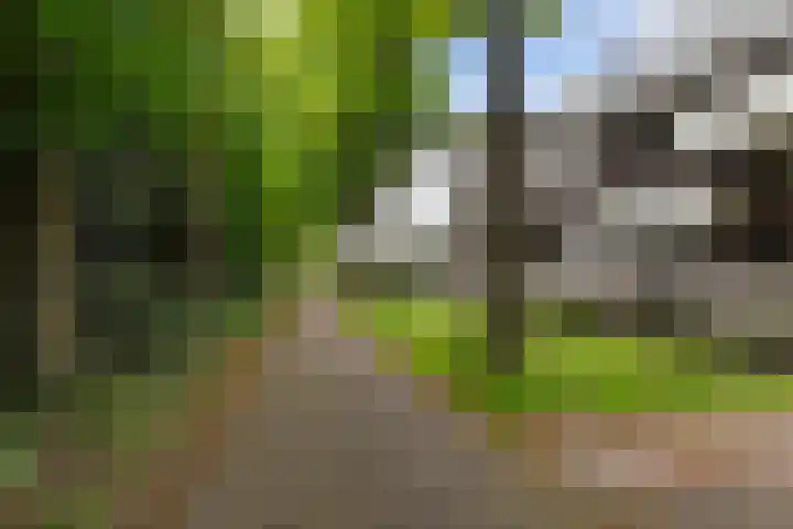 Castellanie 8 Loon op Zand thumbnail 36