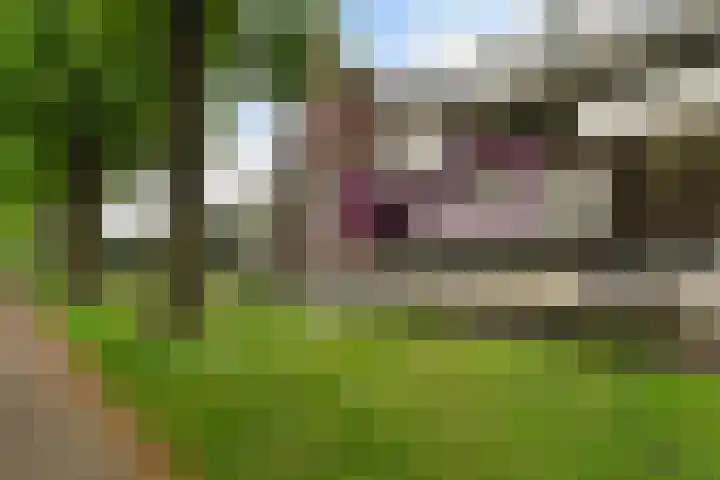 Castellanie 8 Loon op Zand thumbnail 41