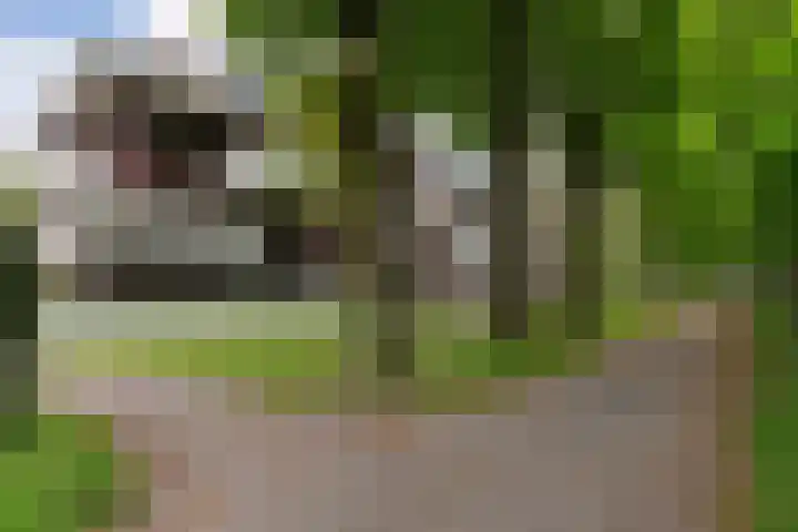 Castellanie 8 Loon op Zand thumbnail 5