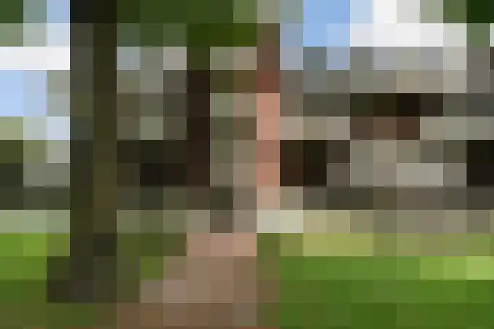 Castellanie 8 Loon op Zand thumbnail 6