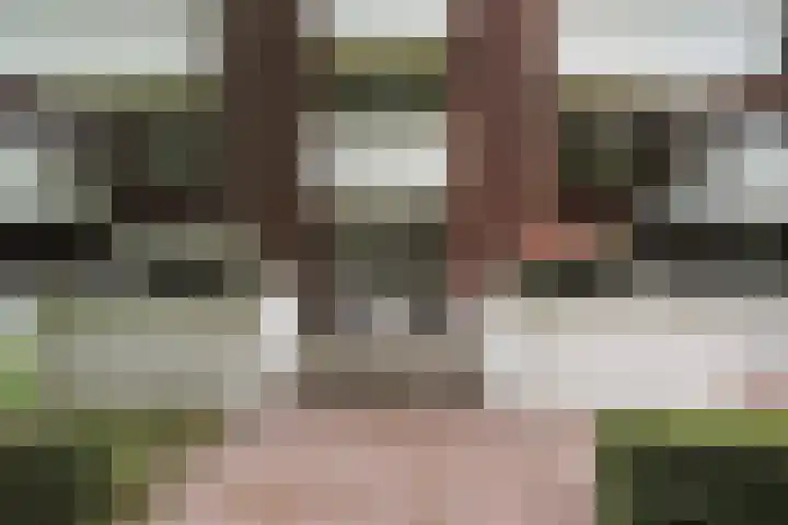 Castellanie 8 Loon op Zand thumbnail 7