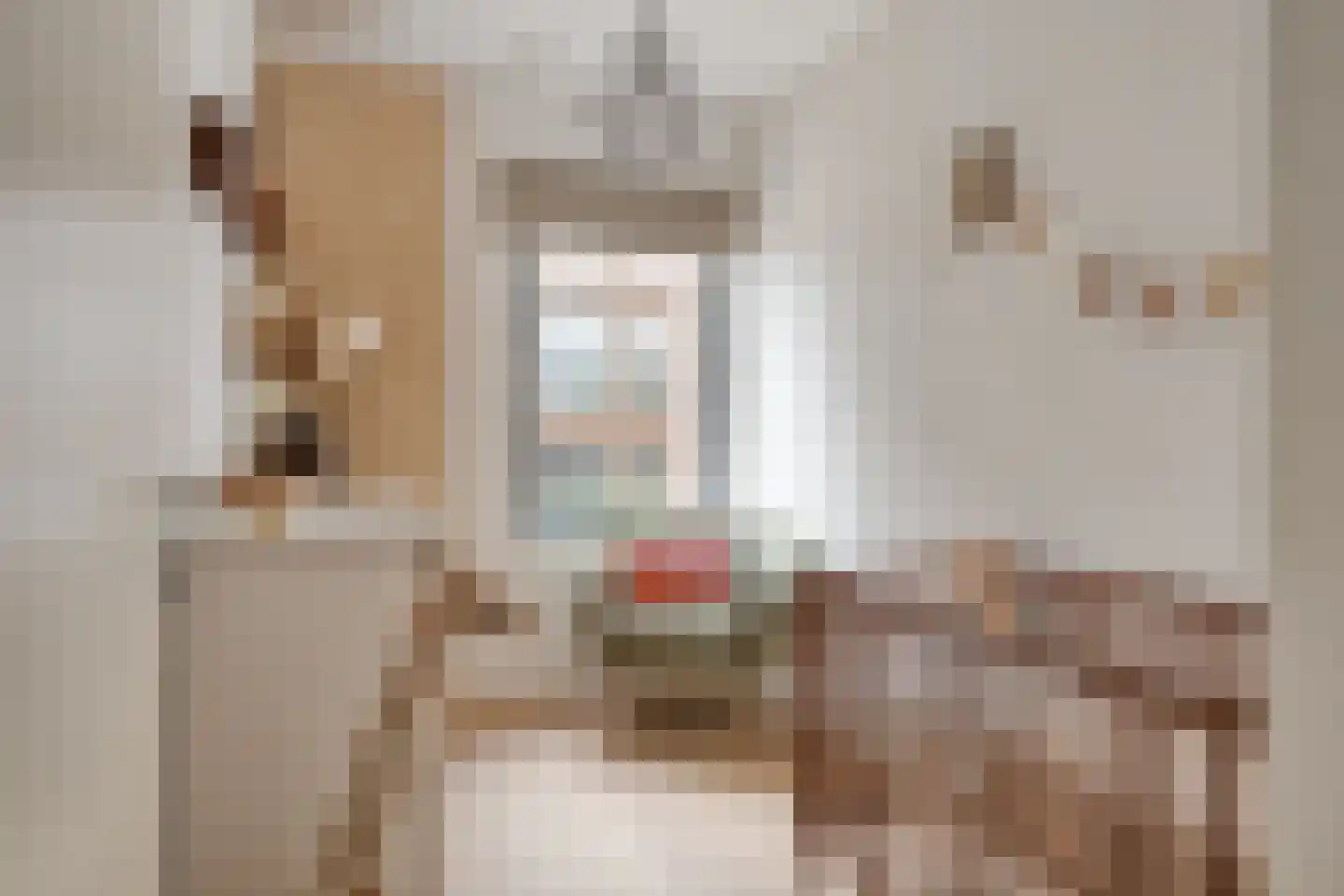 Castellastraat 42 Nijmegen thumbnail 22