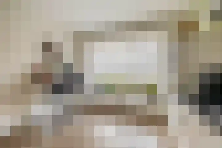 Castellum 1 Oudheusden thumbnail 10