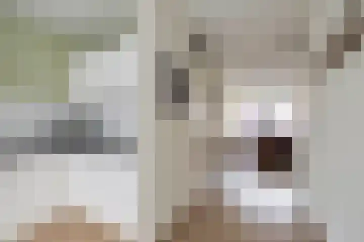 Castellum 1 Oudheusden thumbnail 11