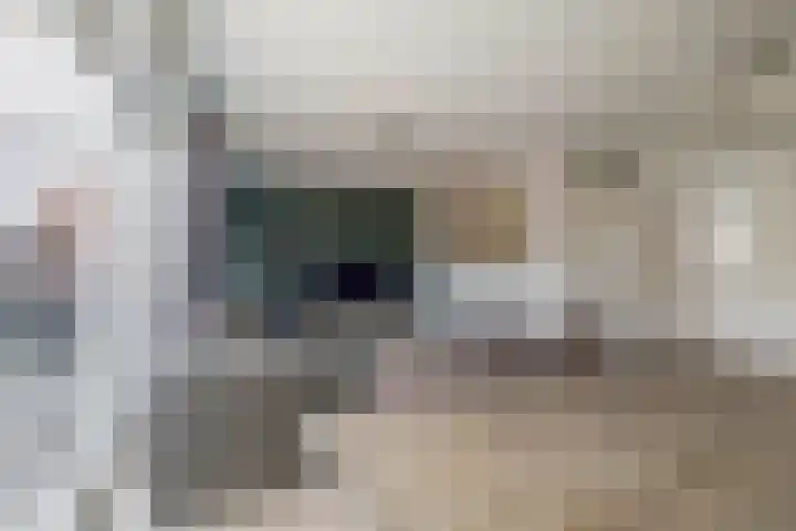 Castellum 1 Oudheusden thumbnail 14