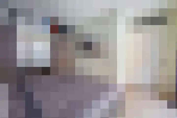 Castellum 1 Oudheusden thumbnail 27