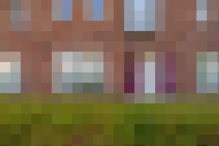 Castellum 1 Oudheusden thumbnail 4