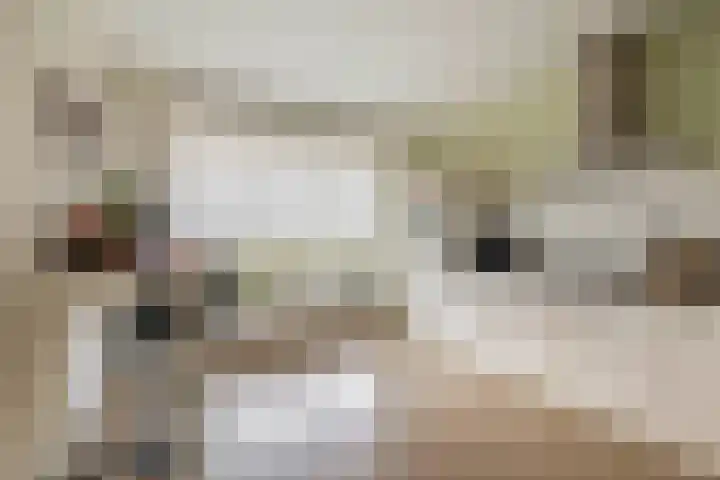Castellum 1 Oudheusden thumbnail 6