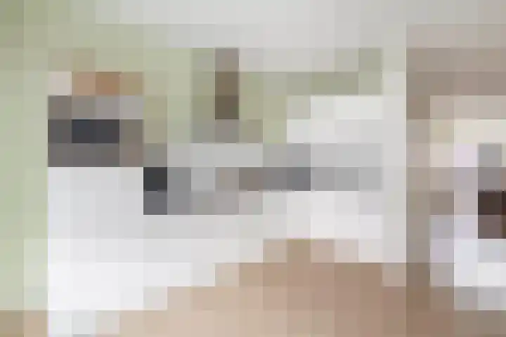 Castellum 1 Oudheusden thumbnail 7