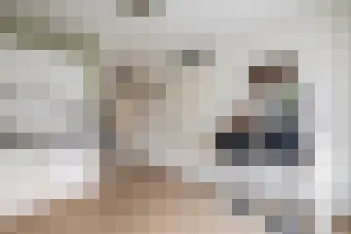 Castellum 1 Oudheusden thumbnail 8