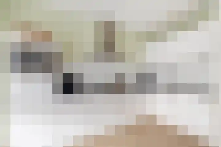 Castellum 1 Oudheusden thumbnail 9