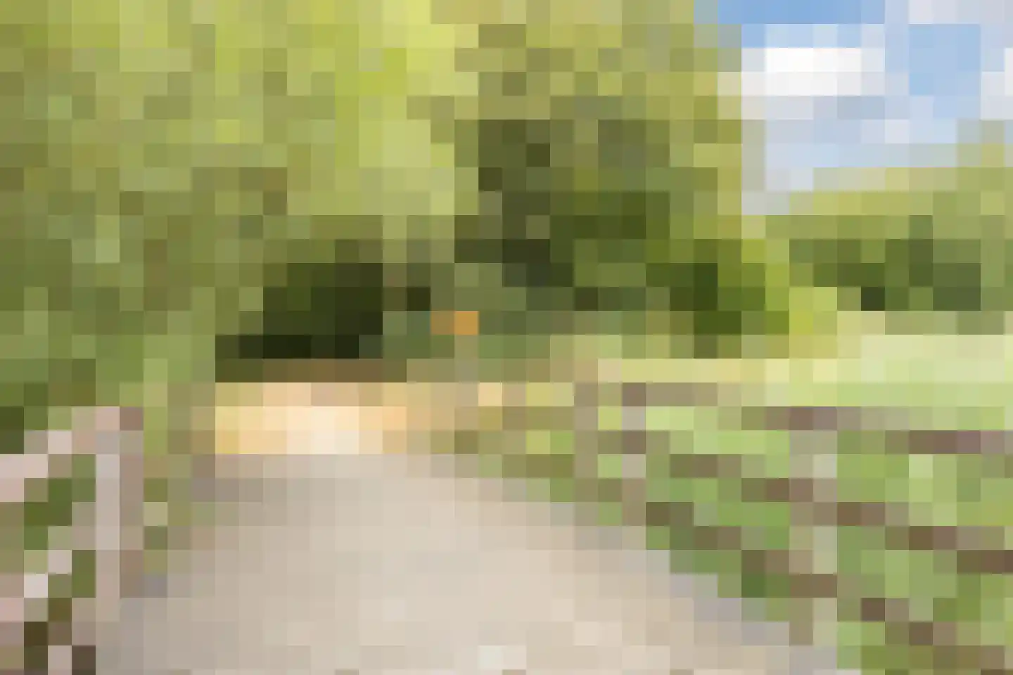 Castellum 14 Poortugaal thumbnail 41