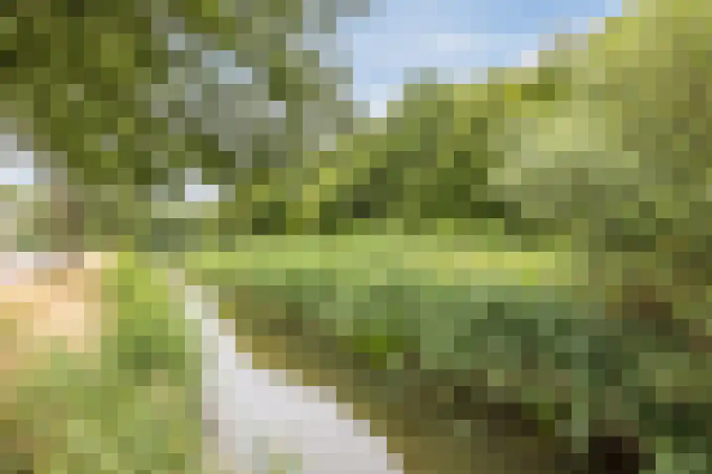 Castellum 14 Poortugaal thumbnail 42