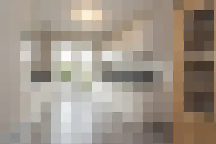 Castellum 15 Noordwijkerhout thumbnail 11