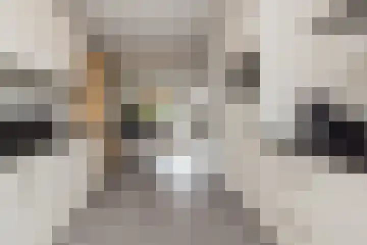 Castellum 15 Noordwijkerhout thumbnail 12