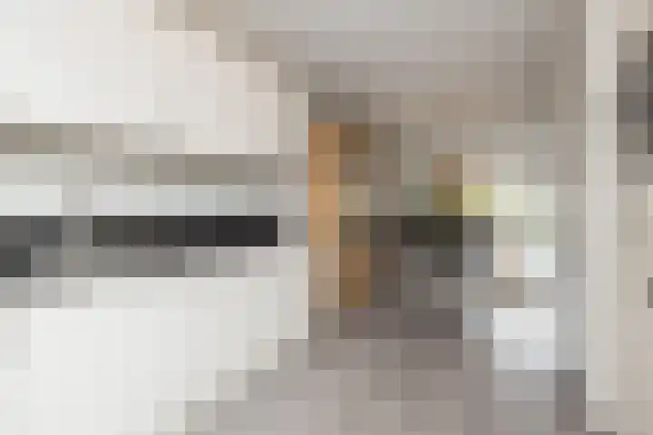 Castellum 15 Noordwijkerhout thumbnail 13
