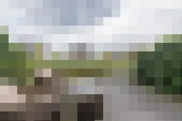 Castellum 15 Noordwijkerhout thumbnail 14