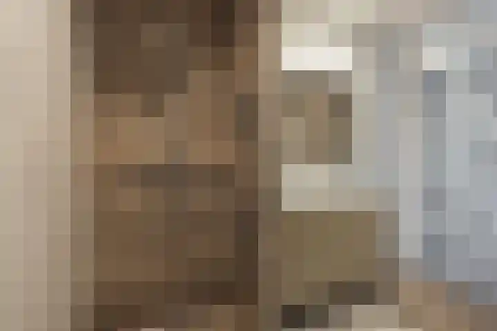 Castellum 15 Noordwijkerhout thumbnail 21
