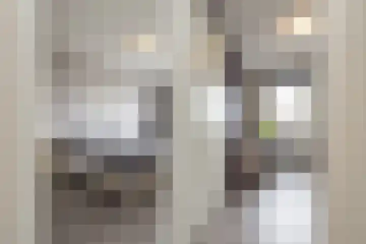 Castellum 15 Noordwijkerhout thumbnail 24