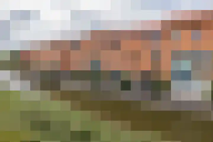 Castellum 15 Noordwijkerhout thumbnail 32
