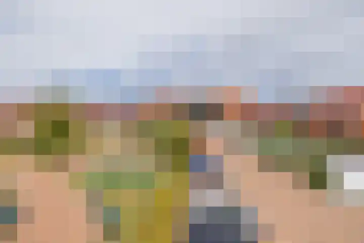 Castellum 15 Noordwijkerhout thumbnail 34