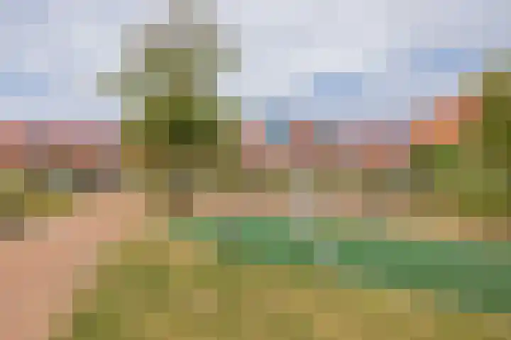 Castellum 15 Noordwijkerhout thumbnail 35