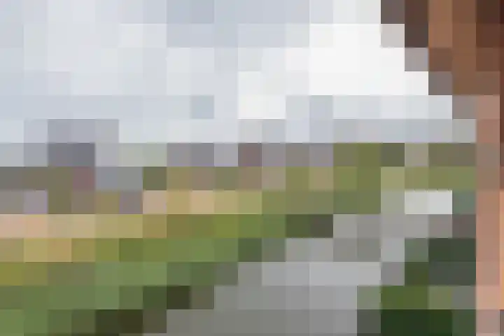 Castellum 15 Noordwijkerhout thumbnail 36