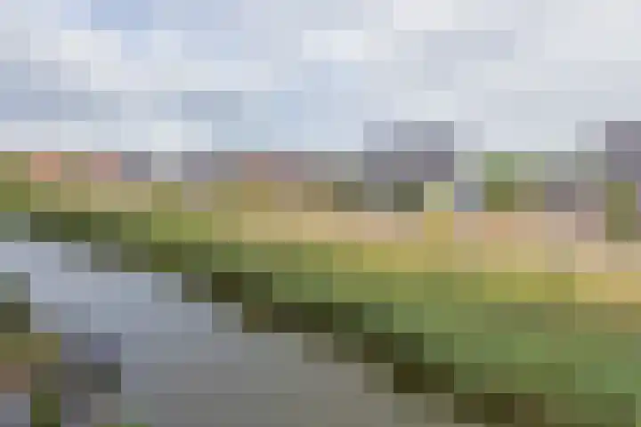 Castellum 15 Noordwijkerhout thumbnail 37