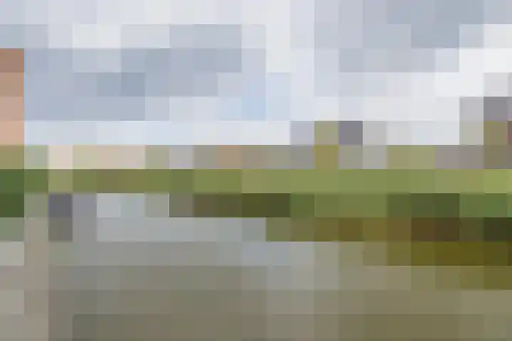 Castellum 15 Noordwijkerhout thumbnail 38