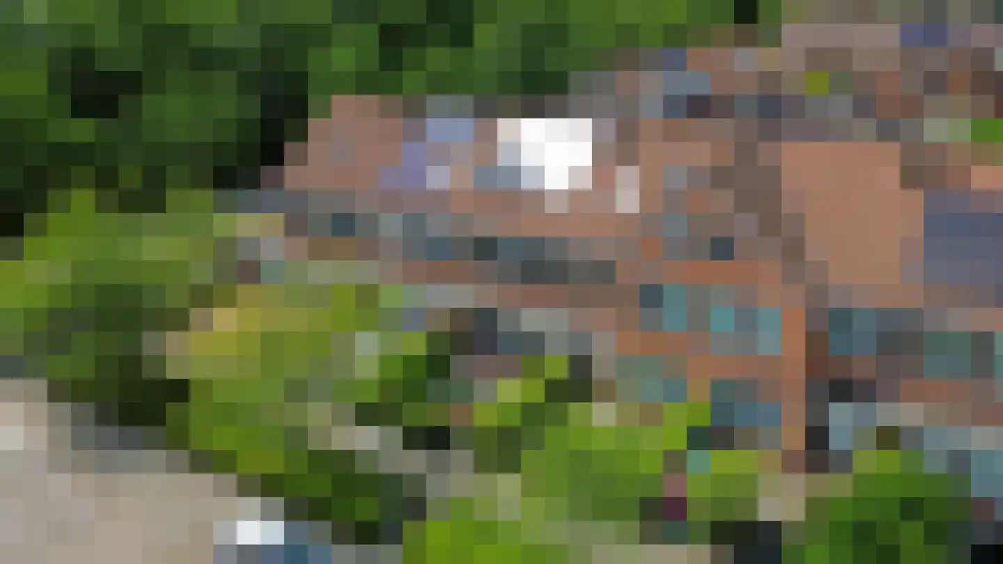 Castellum 5 Poortugaal thumbnail 10
