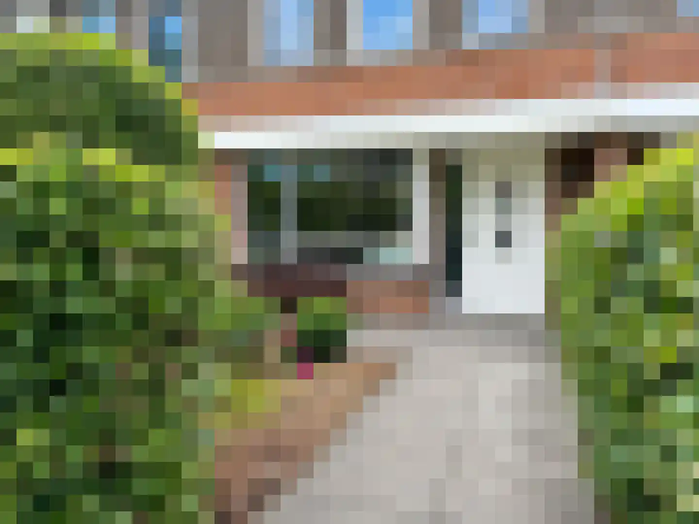 Castellum 5 Poortugaal thumbnail 9