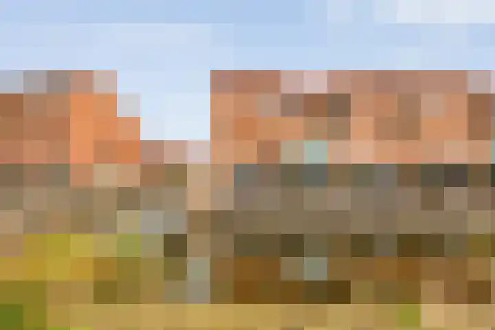 Castellum 77 Noordwijkerhout thumbnail 11