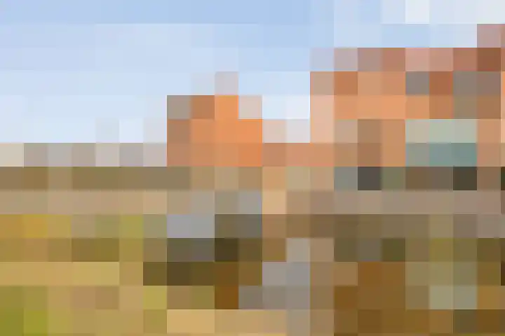 Castellum 77 Noordwijkerhout thumbnail 12