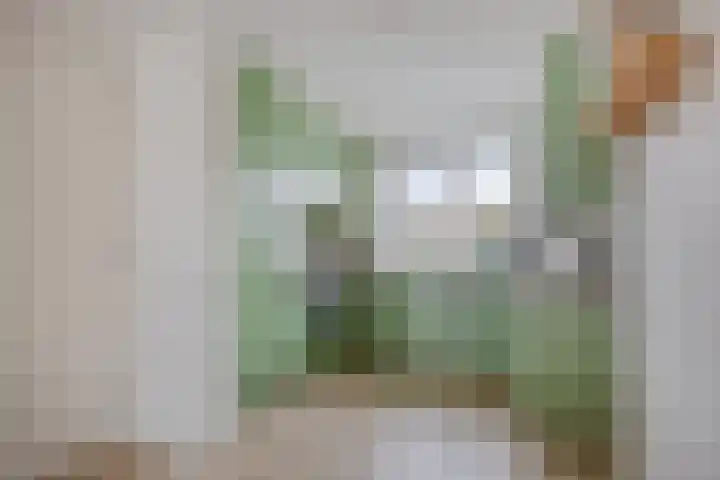 Castellum 77 Noordwijkerhout thumbnail 21