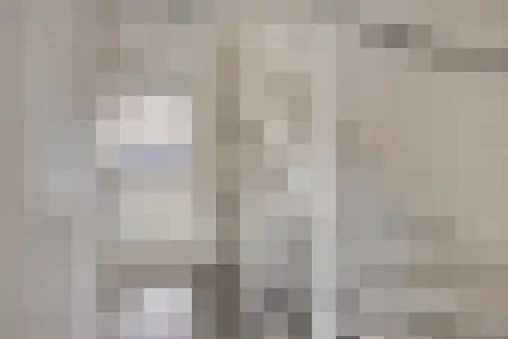 Castellum 77 Noordwijkerhout thumbnail 29