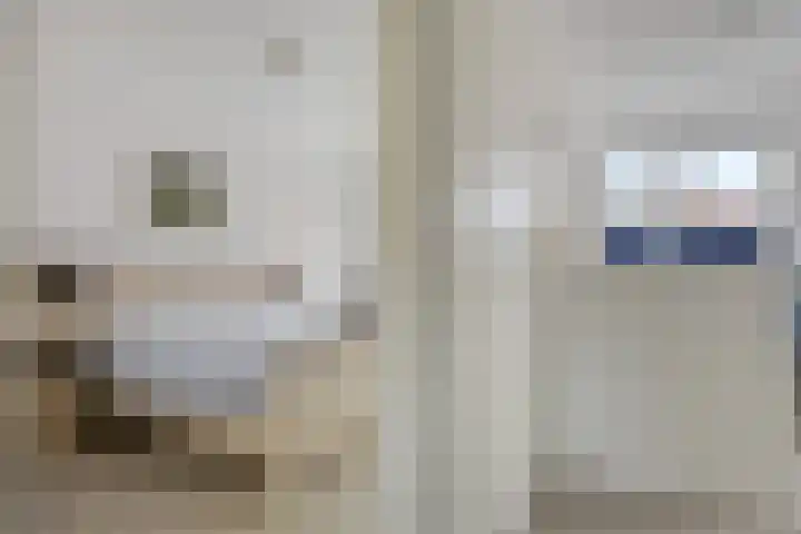 Castellum 77 Noordwijkerhout thumbnail 36