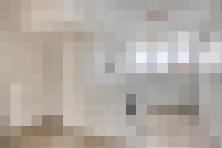 Castellum 77 Noordwijkerhout thumbnail 45